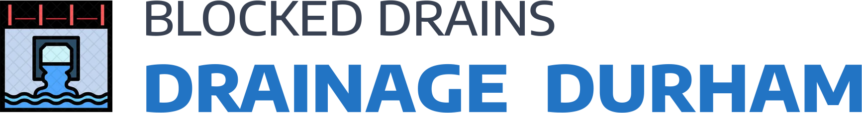 website logo